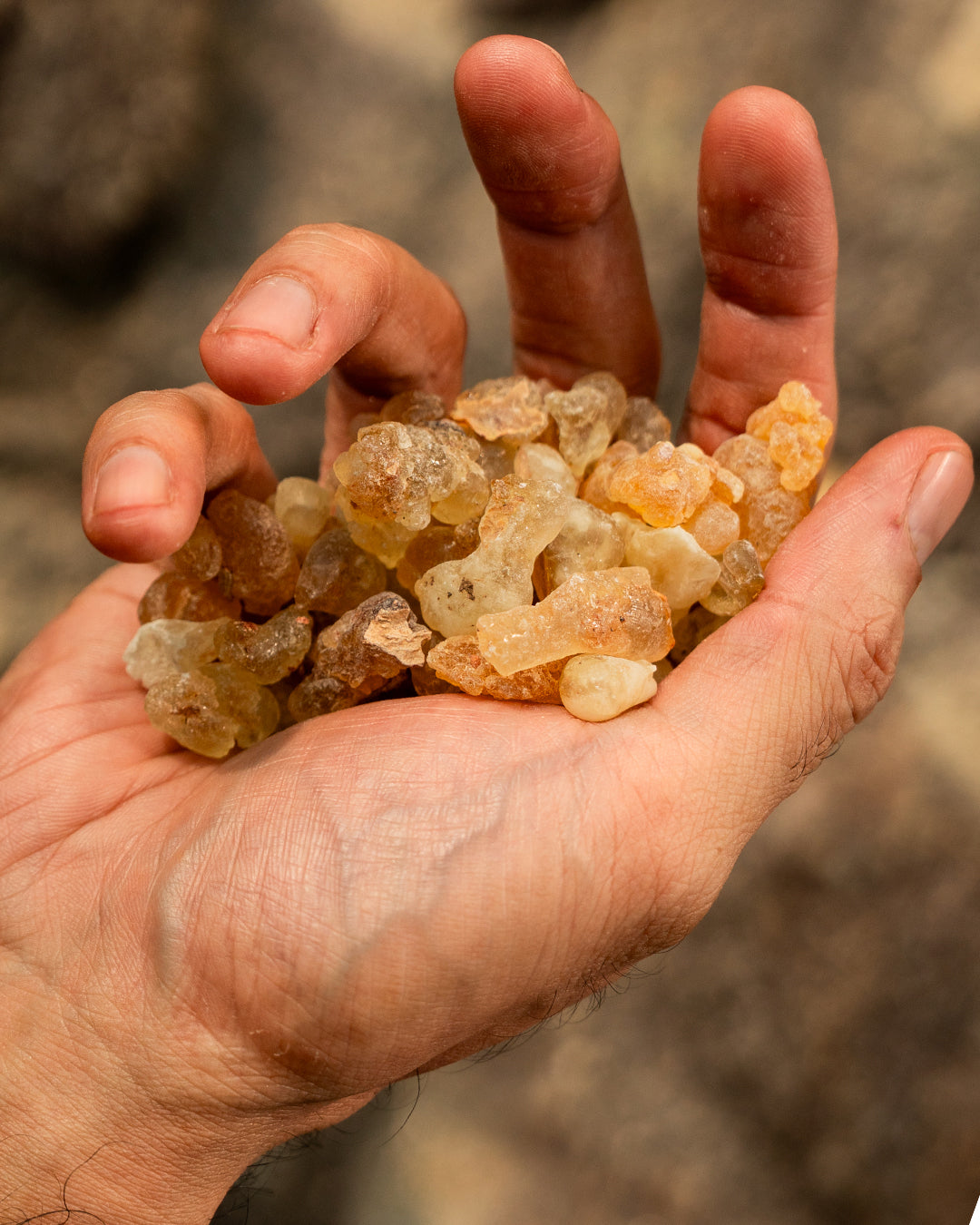 SWEET FRANKINCENSE