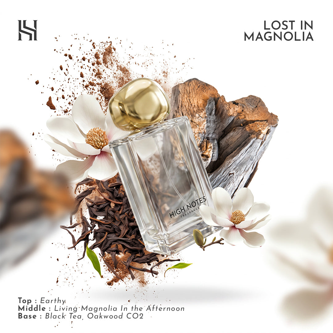 LOST IN MAGNOLIA