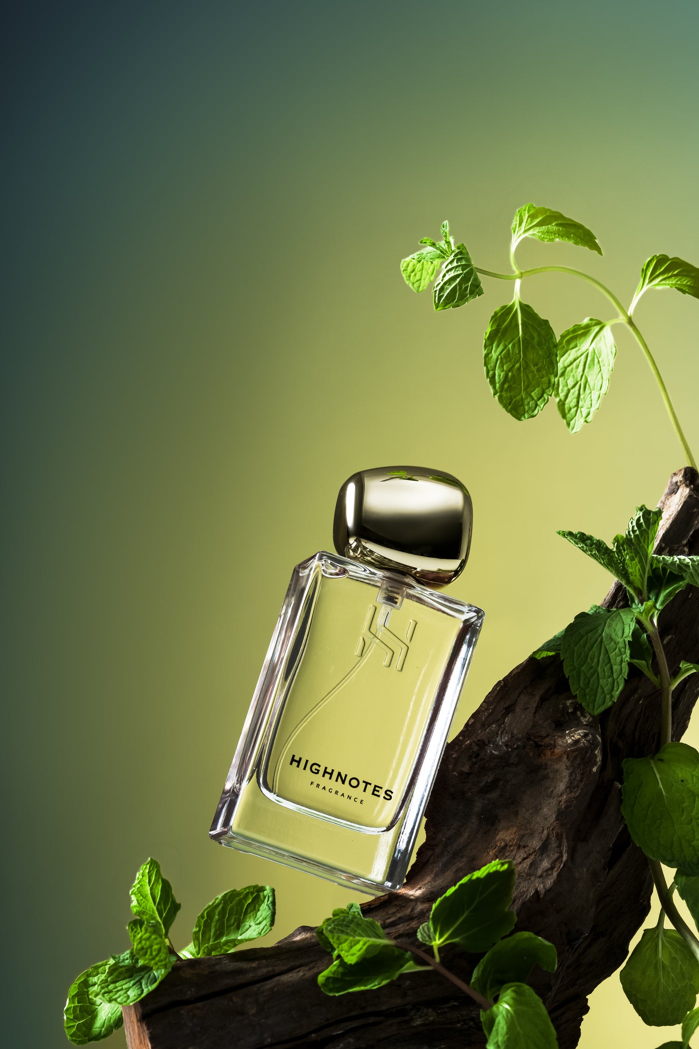 MINT VALLEY
